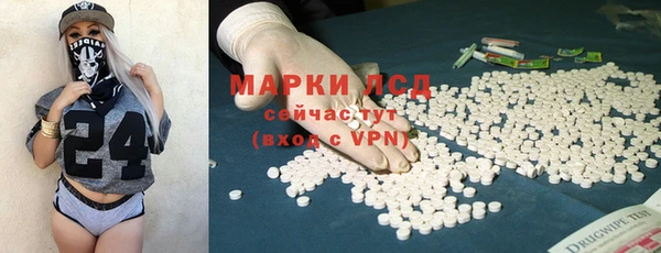 ГАЛЛЮЦИНОГЕННЫЕ ГРИБЫ Лиски