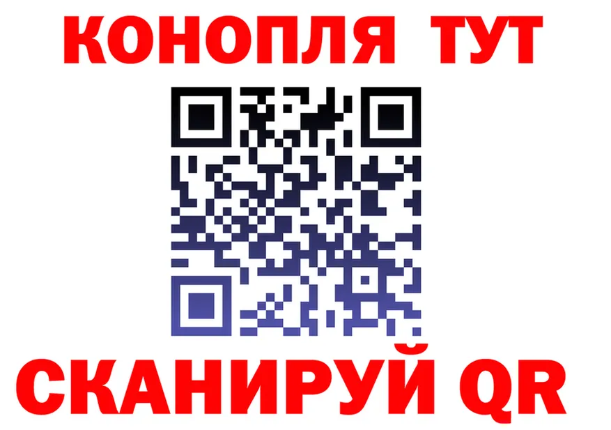 APVP СК зеркало площадка кракен Павловская