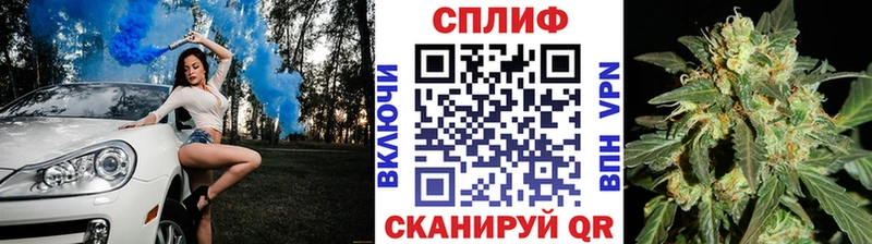 Каннабис конопля  Павловская 